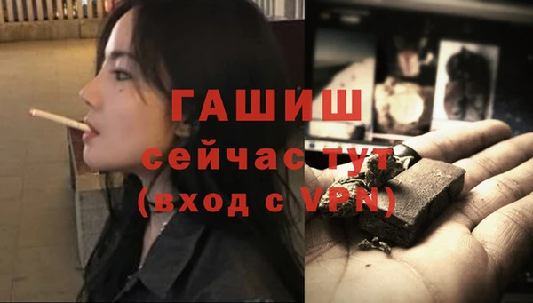 гидра Алексеевка