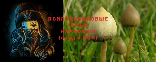 гидра Алексеевка