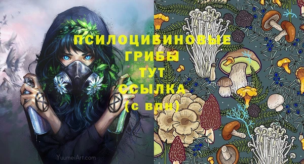гидра Алексин
