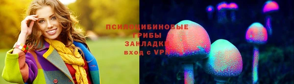 твердый Алзамай