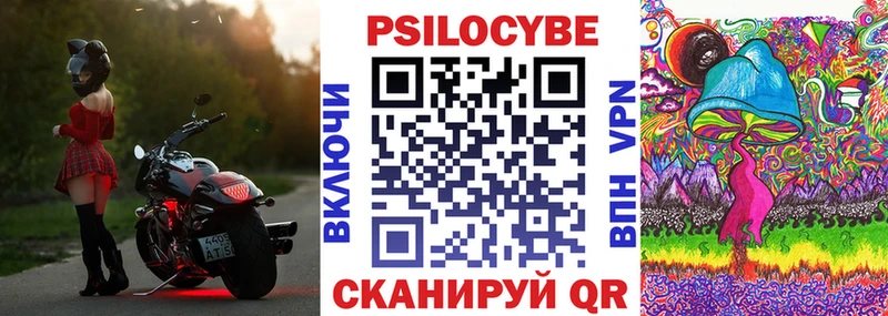 Псилоцибиновые грибы Cubensis  Октябрьск 